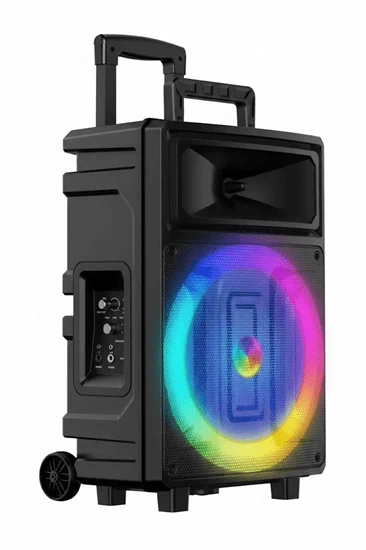 ZQS-12131 בידורית קריוקי -60W עם זוג מיקרופונים אלחוטיים